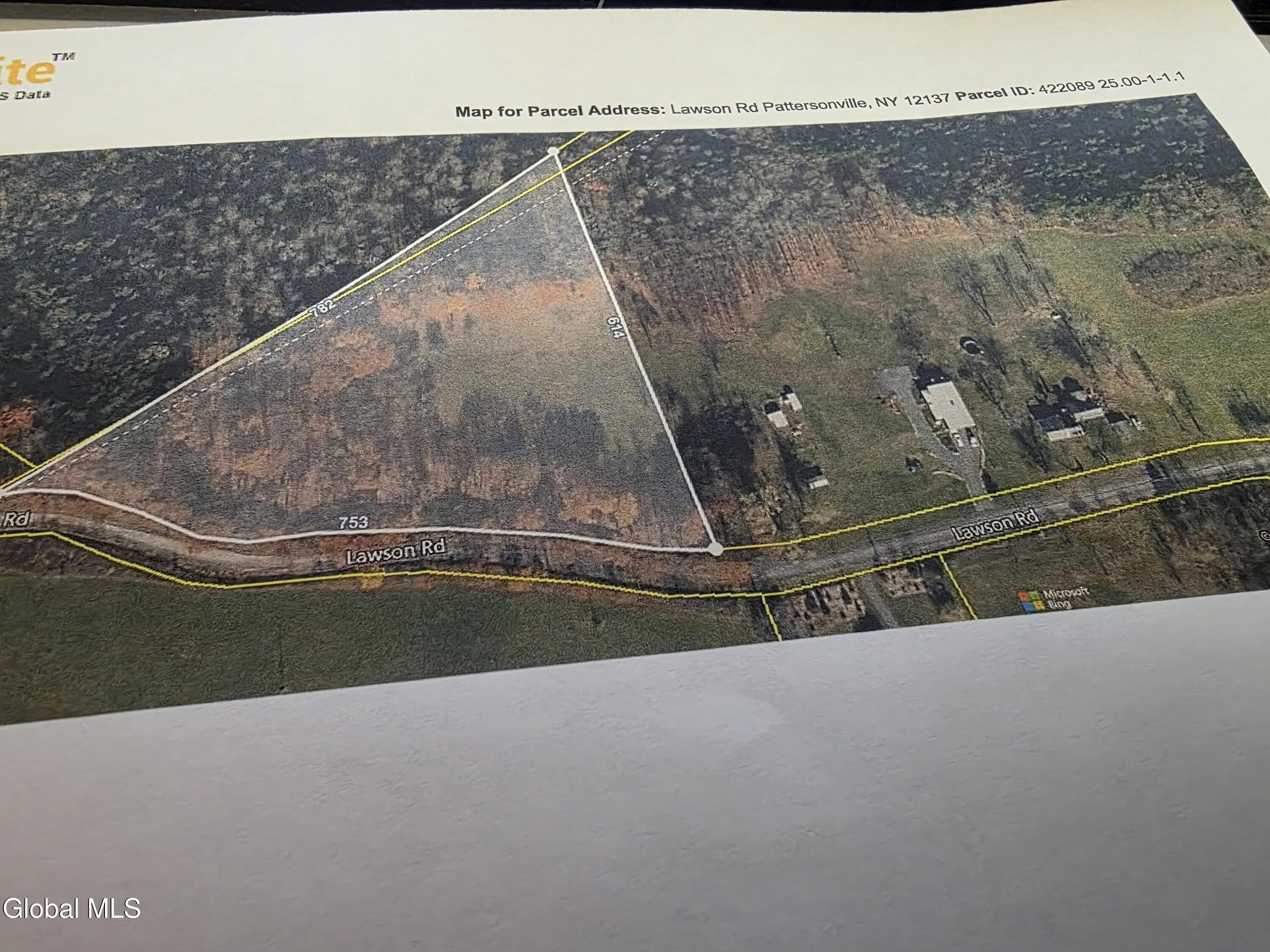 L1.1 Lawson Road Pattersonville, NY 12137 - Photo 11 of 11 11397