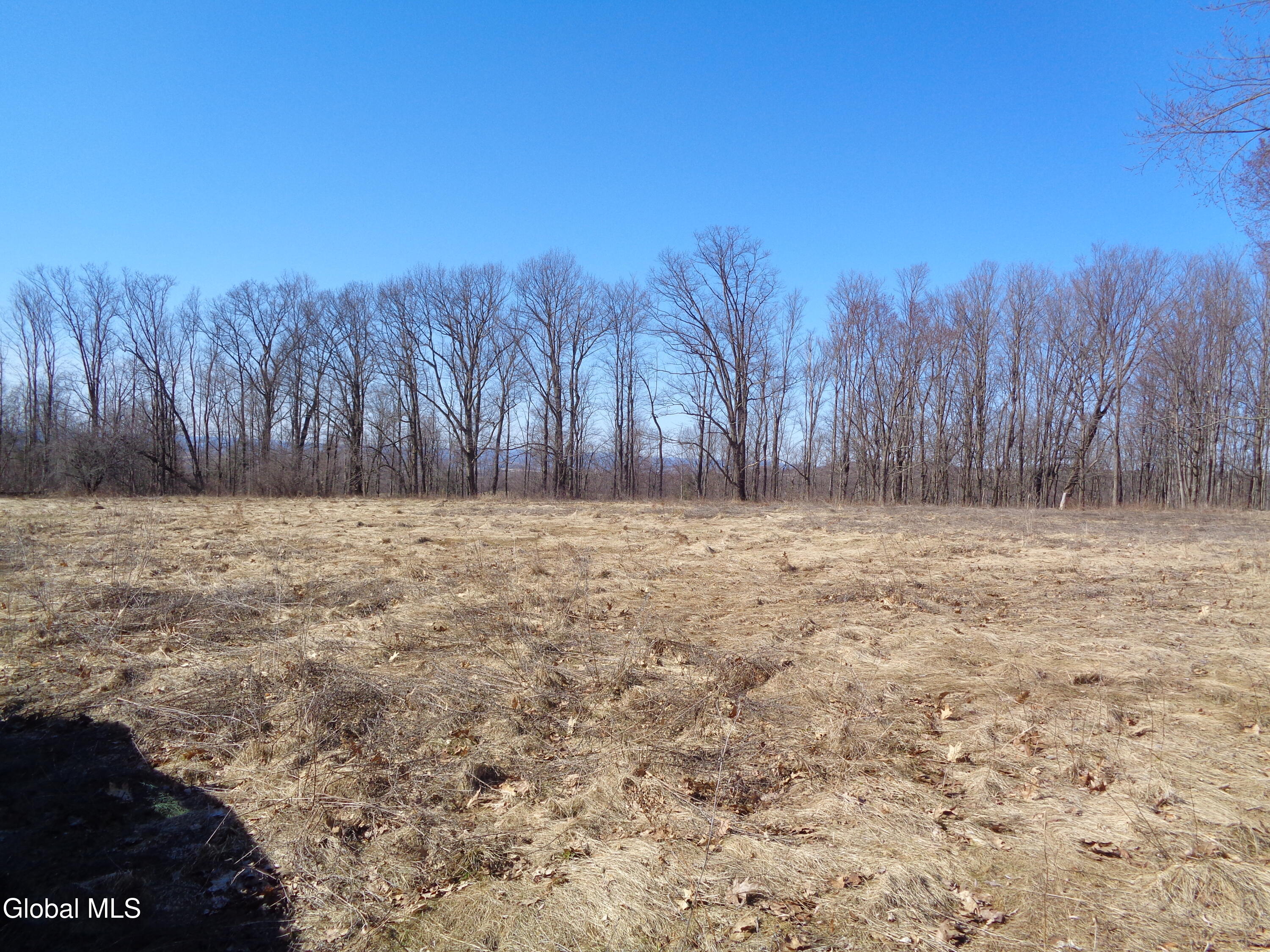 L1.1 Lawson Road Pattersonville, NY 12137 - Photo 2 of 11 DSC02742