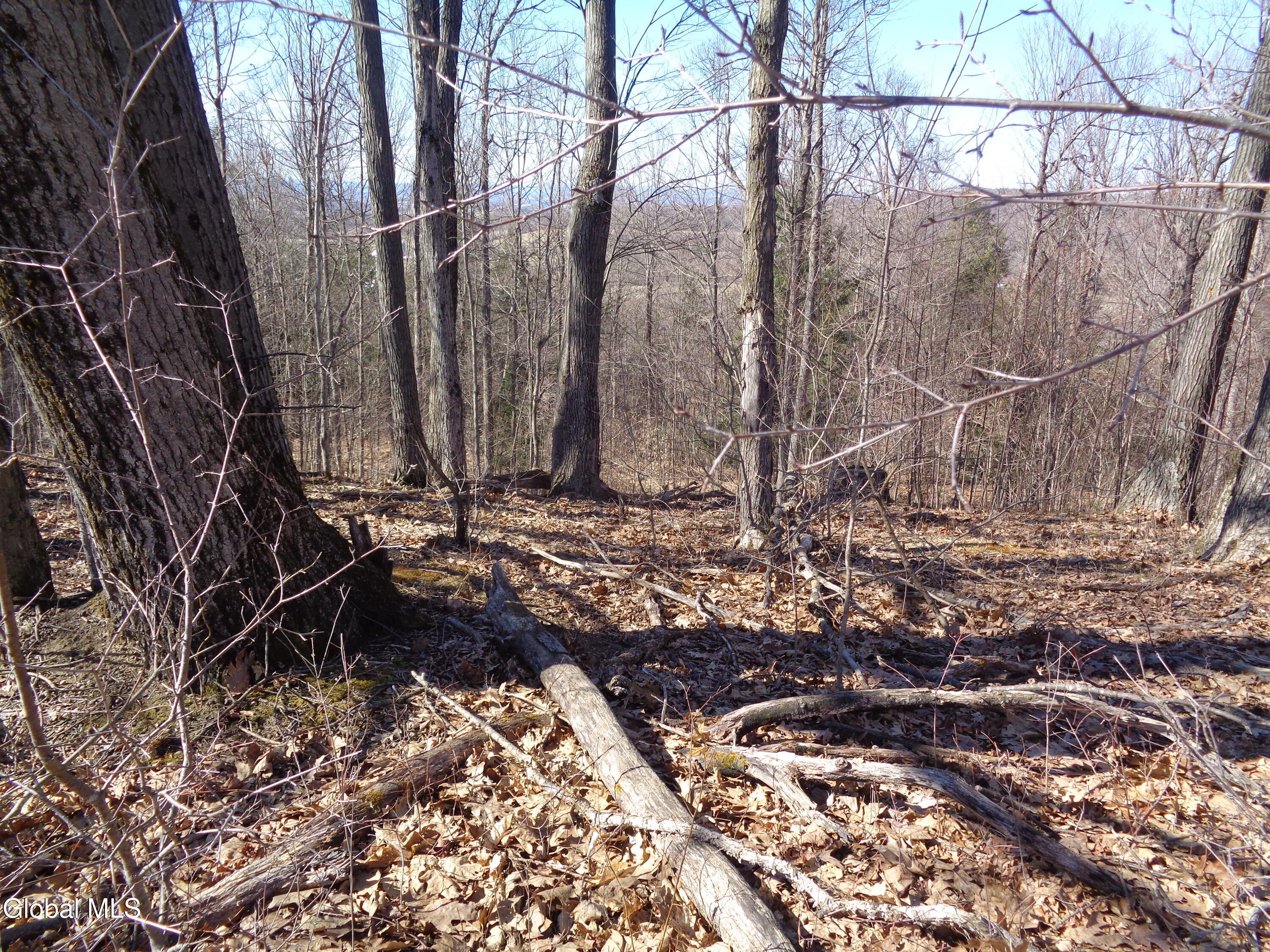 L1.1 Lawson Road Pattersonville, NY 12137 - Photo 3 of 11 DSC02743