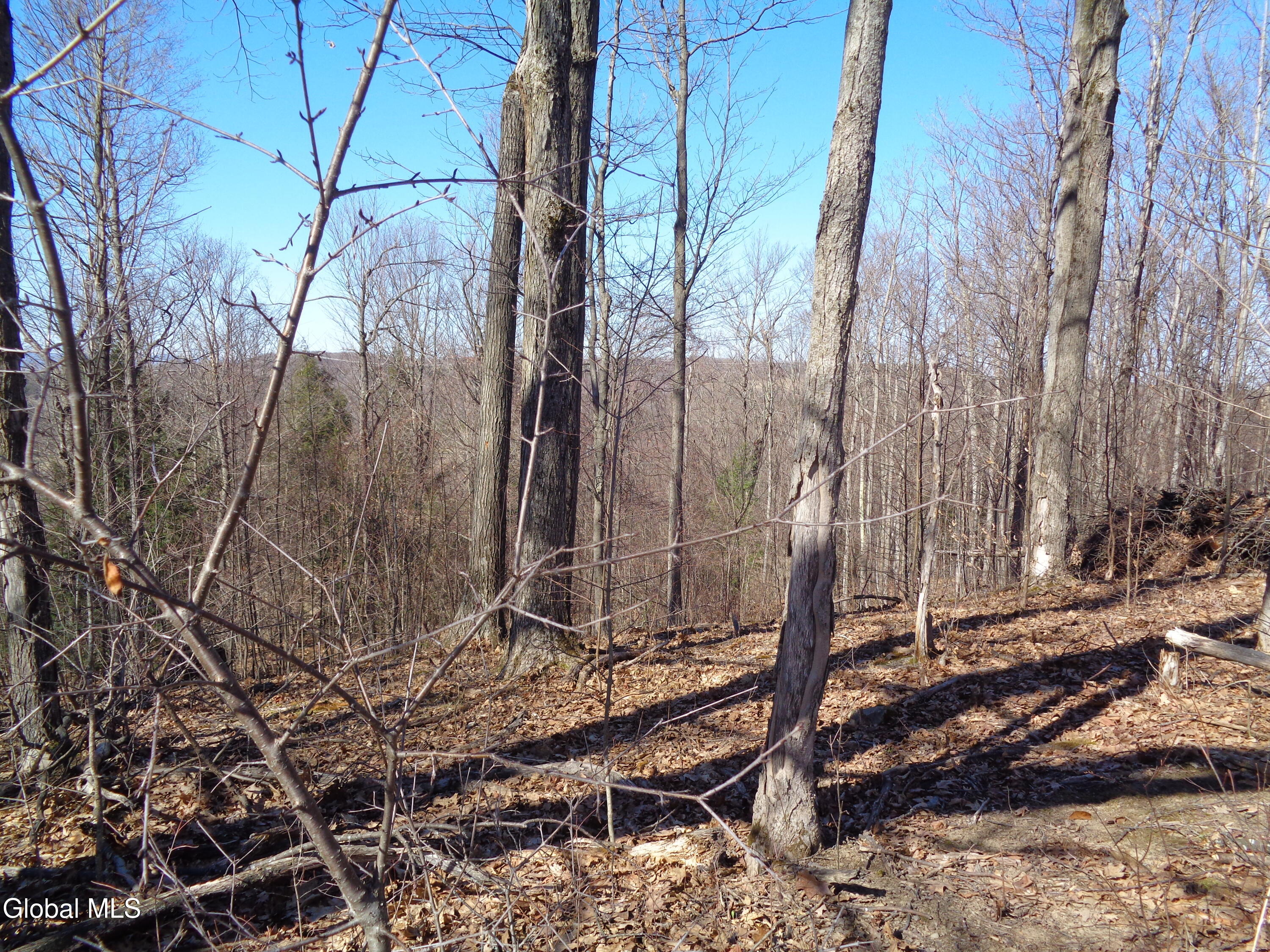 L1.1 Lawson Road Pattersonville, NY 12137 - Photo 4 of 11 DSC02744