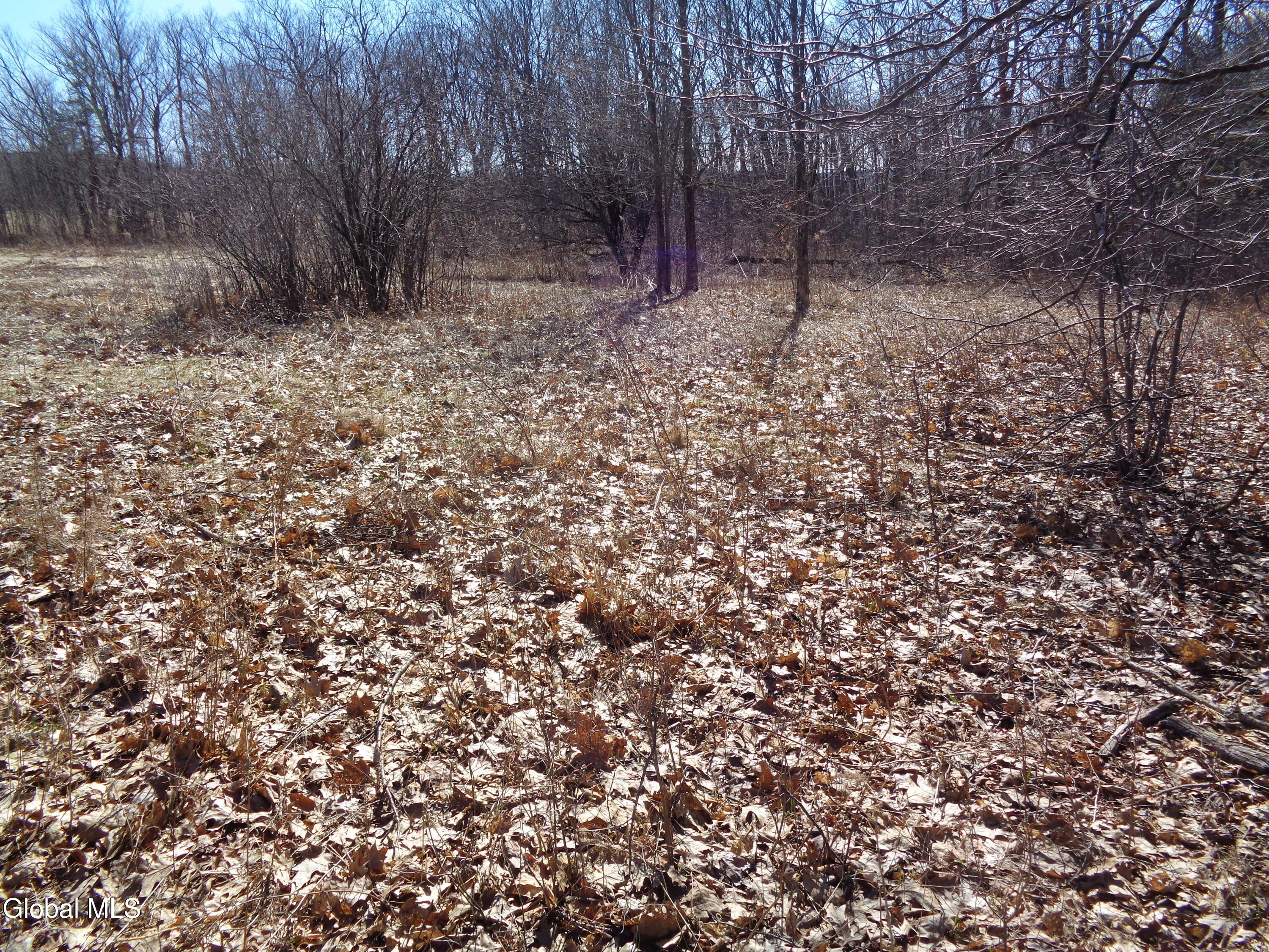 L1.1 Lawson Road Pattersonville, NY 12137 - Photo 5 of 11 DSC02745