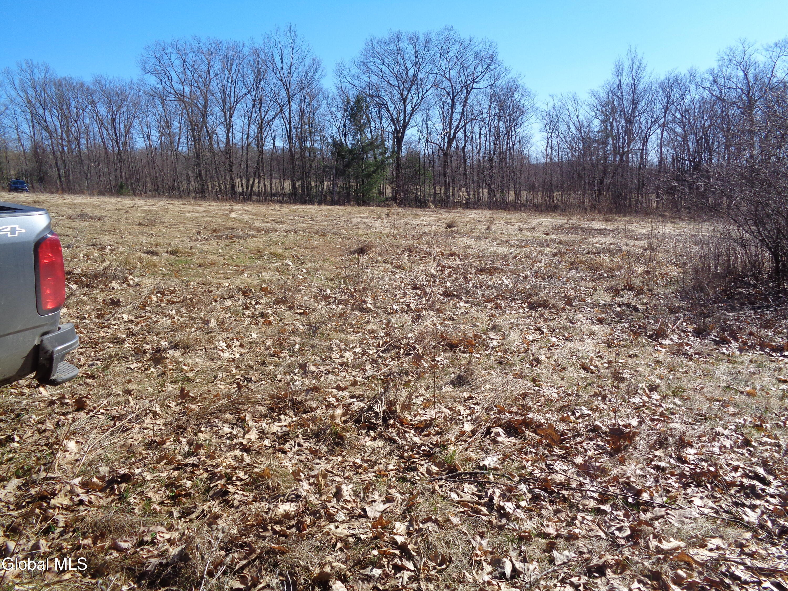 L1.1 Lawson Road Pattersonville, NY 12137 - Photo 6 of 11 DSC02746