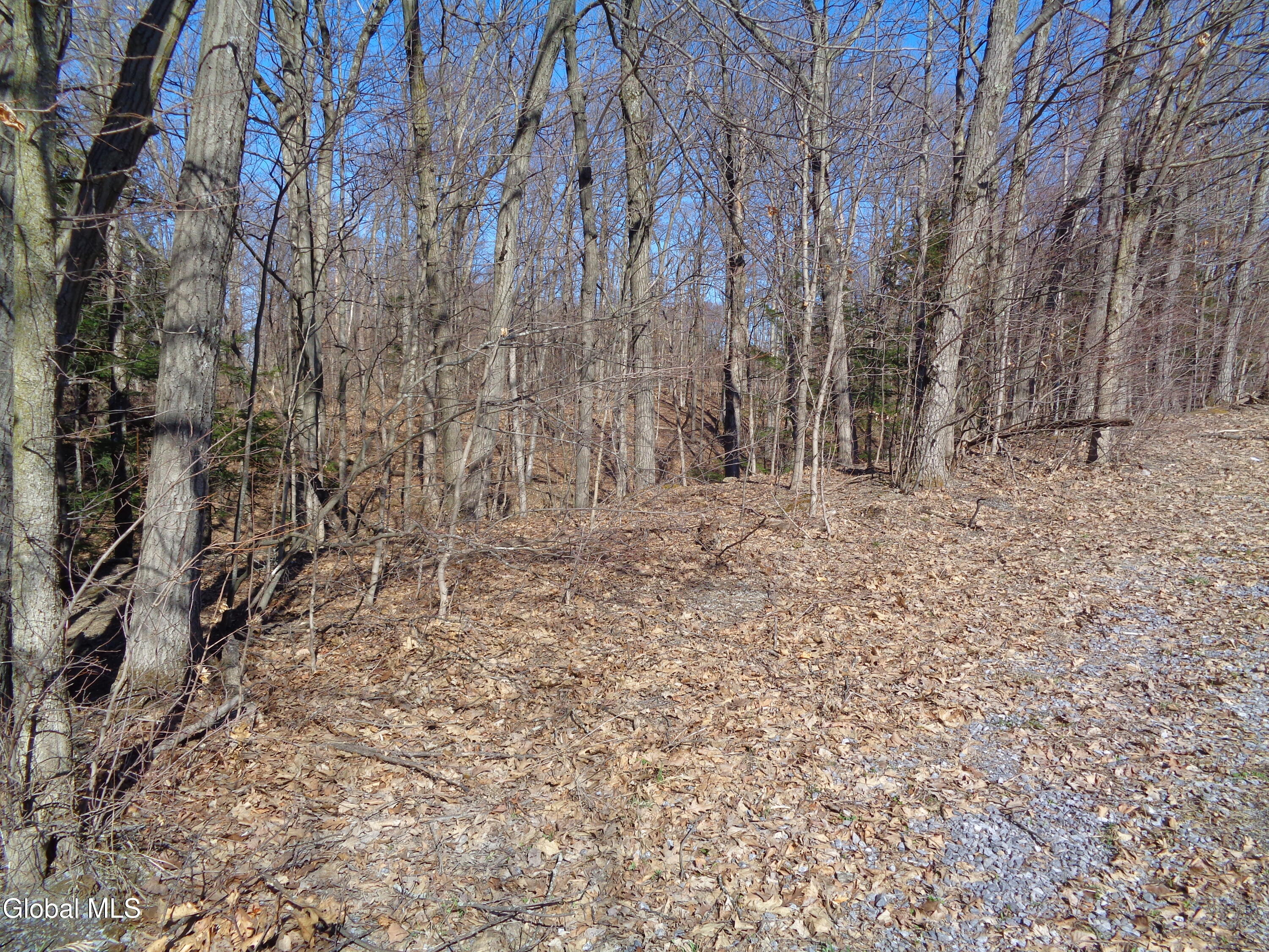 L1.1 Lawson Road Pattersonville, NY 12137 - Photo 7 of 11 DSC02747