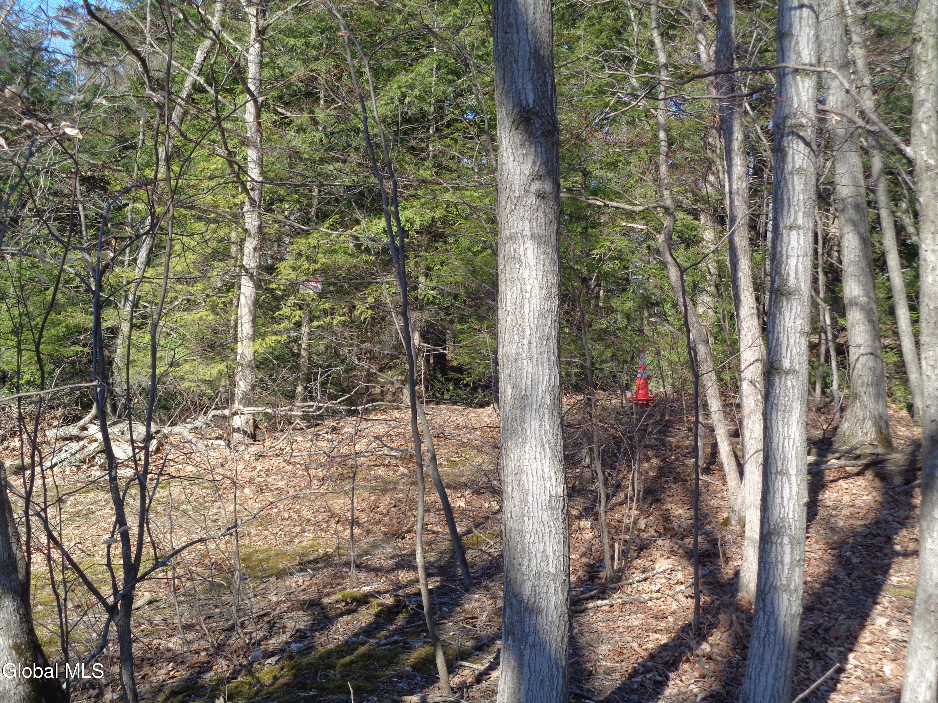 L1.1 Lawson Road Pattersonville, NY 12137 - Photo 8 of 11 DSC02748