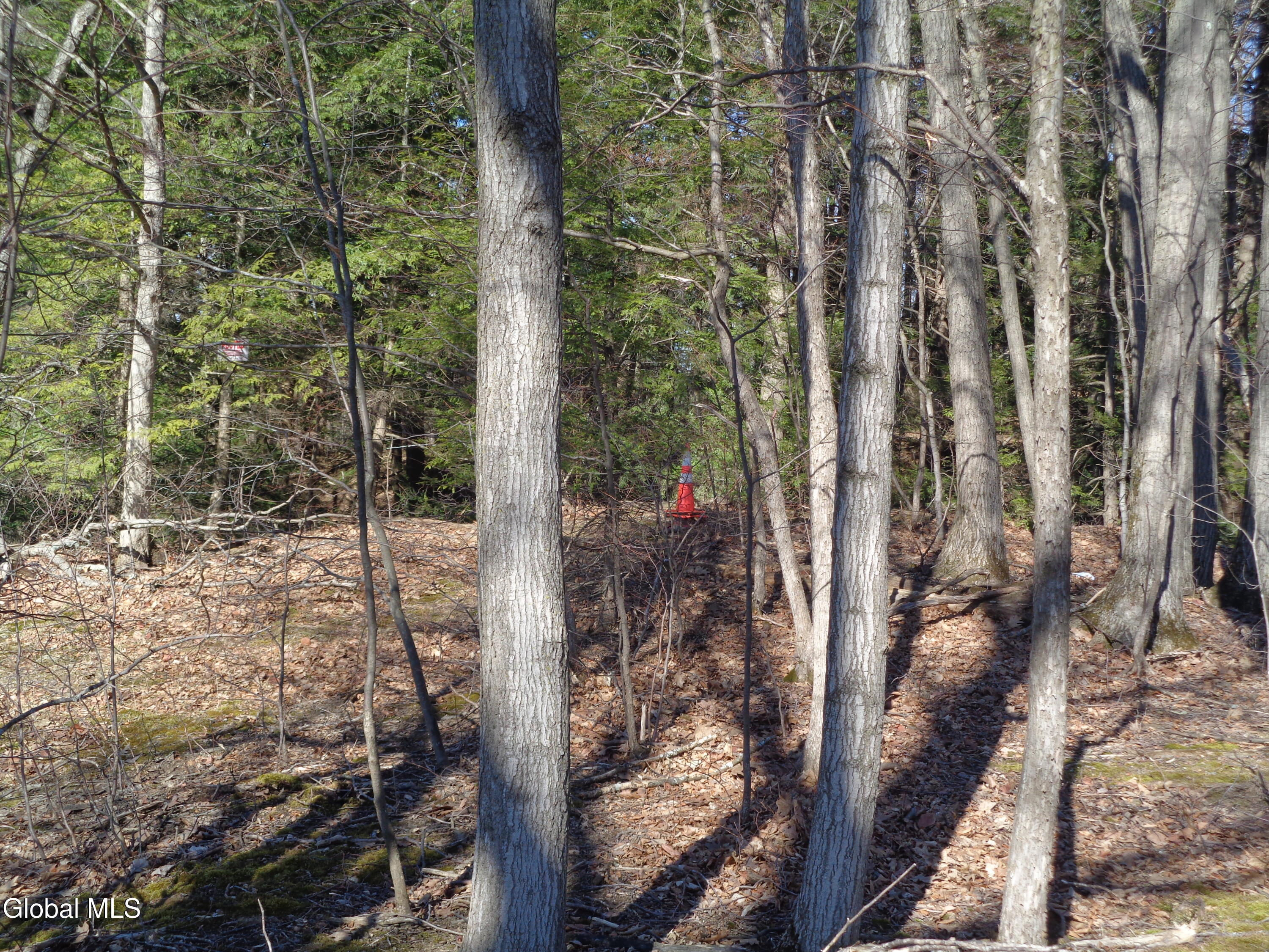 L1.1 Lawson Road Pattersonville, NY 12137 - Photo 9 of 11 DSC02749