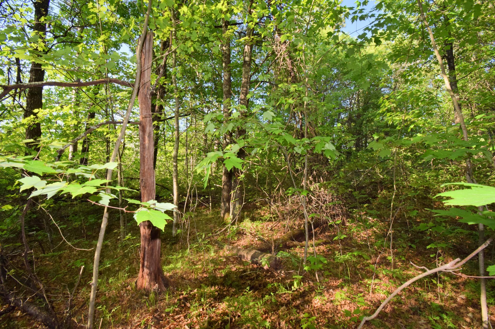 Lot 31 Setting Sun Trail Way Danbury, WI 54830 - Photo 13 of 19