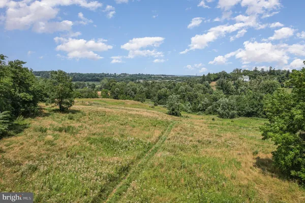 a big yard with lots of green space