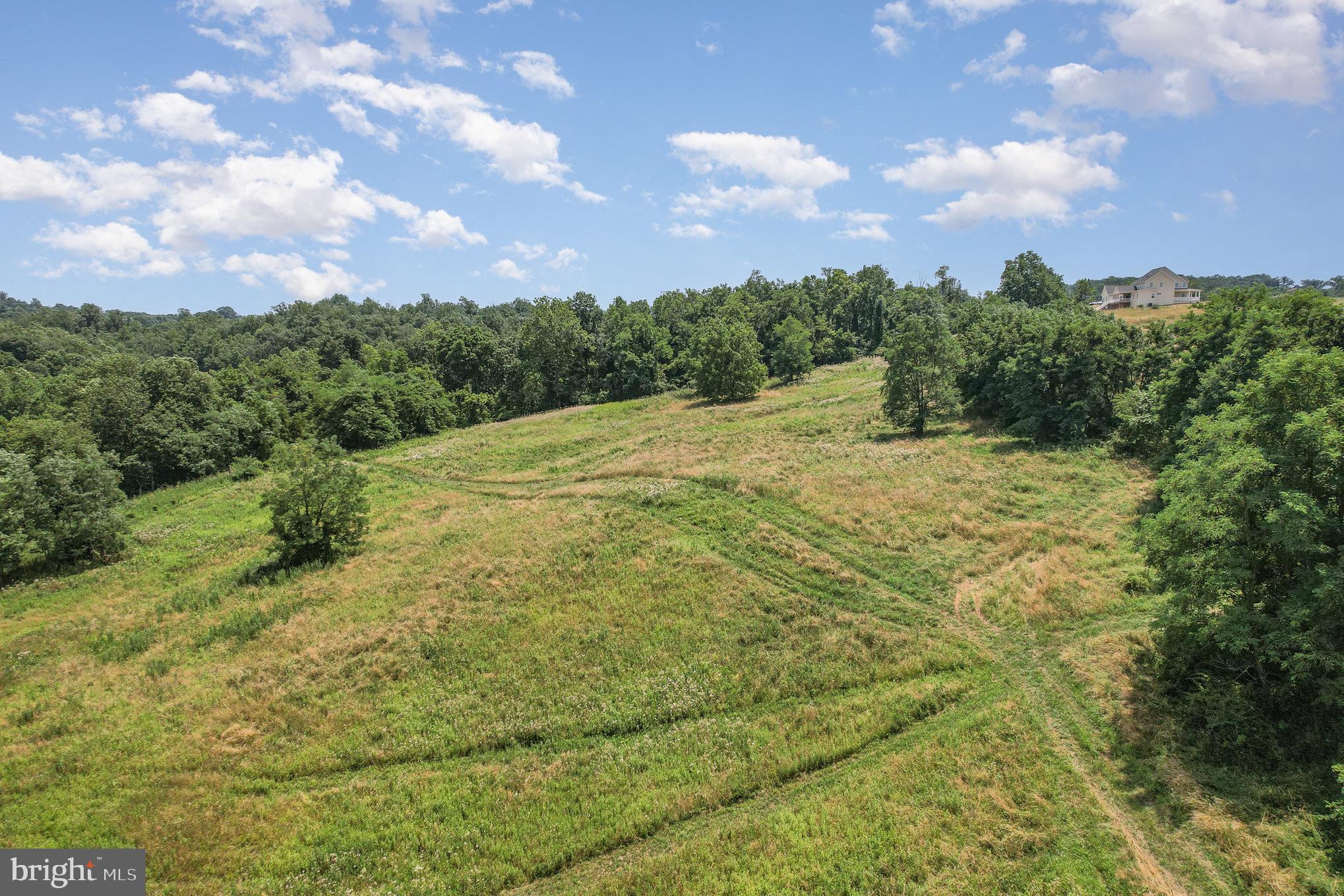 281 North Lewisberry Road Dillsburg, PA 17019 - Photo 4 of 7 a big yard with lots of green space