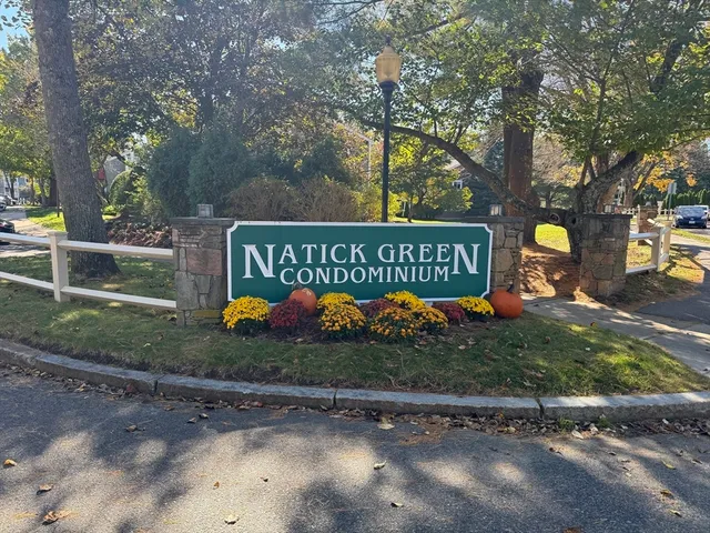 a view of outdoor space with garden and trees