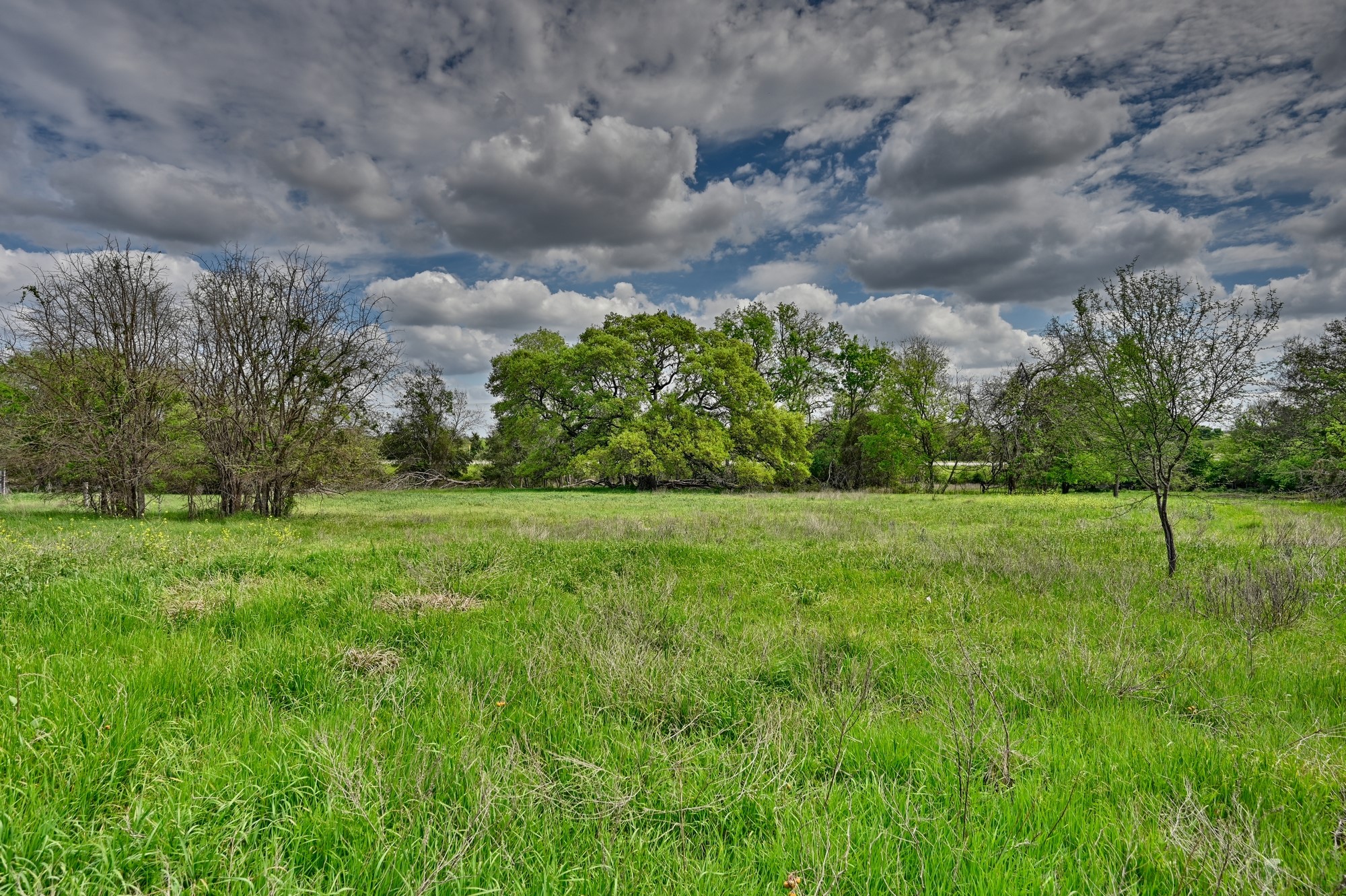 1030 Dixie Road Brenham, TX 77833 - Photo 20 of 22