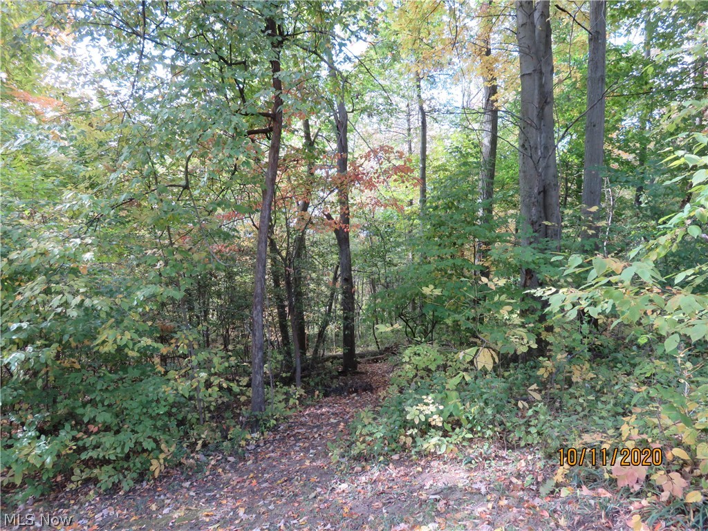 1896 Killian Road Akron, OH 44312 - Photo 21 of 23