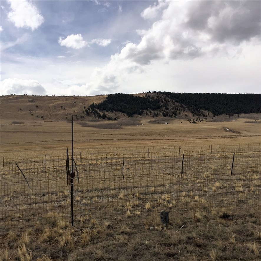 3508 Gap Road Fairplay, CO 80440 - Photo 1 of 20 Gallery Image 1