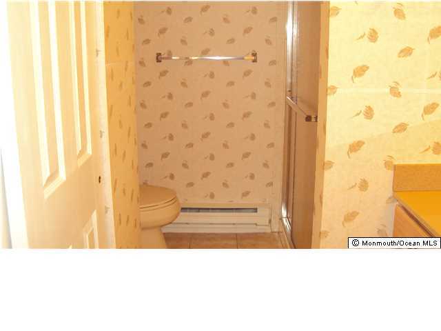 3A Spring Street, Unit B Whiting, NJ 08759 - Photo 16 of 17 a bathroom with a sink and a shower curtain