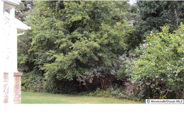 3A Spring Street, Unit B Whiting, NJ 08759 - Photo 3 of 17 a picture of a field