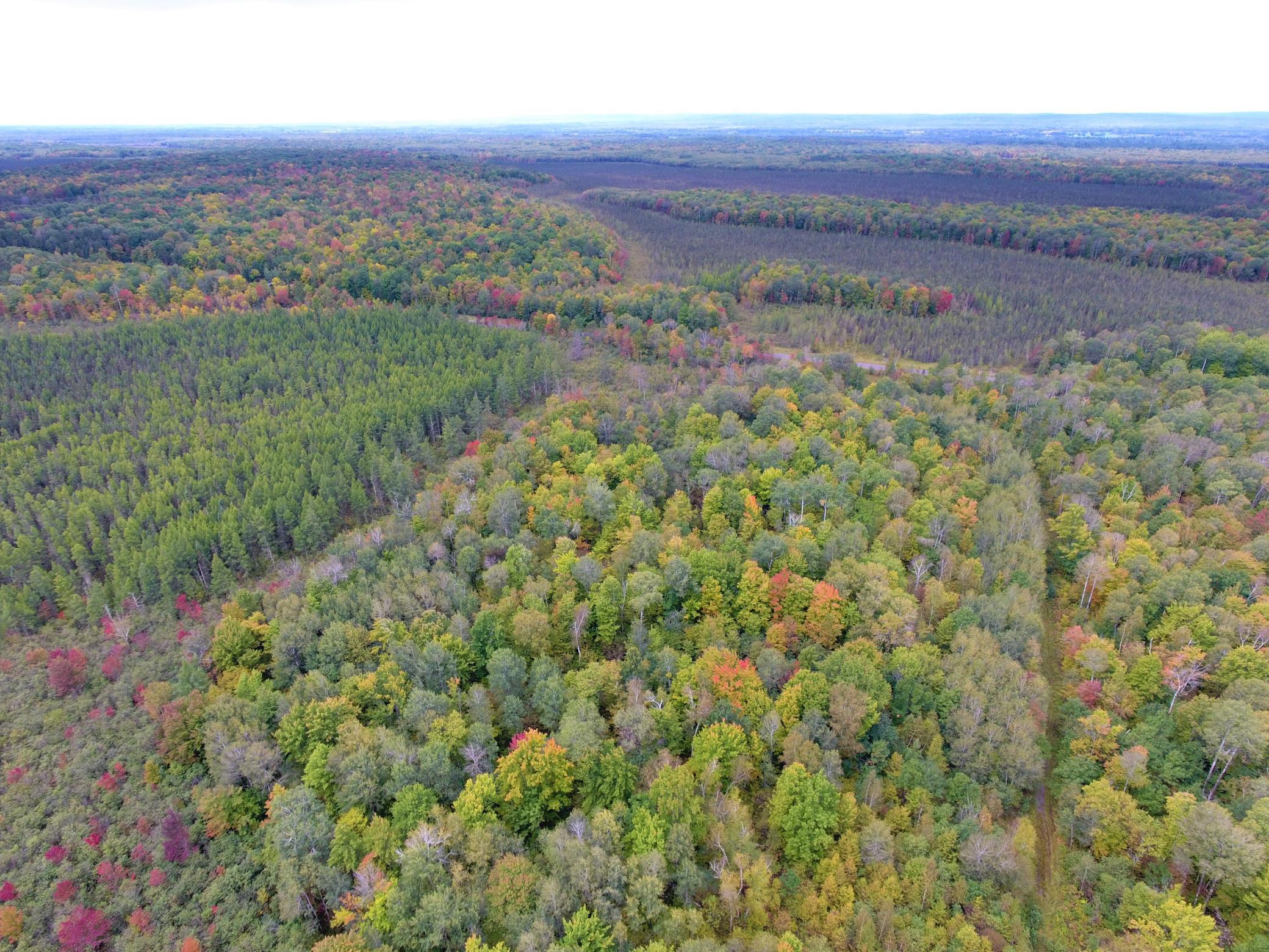 0 Nail Creek Road Exeland, WI 54835 - Photo 1 of 1