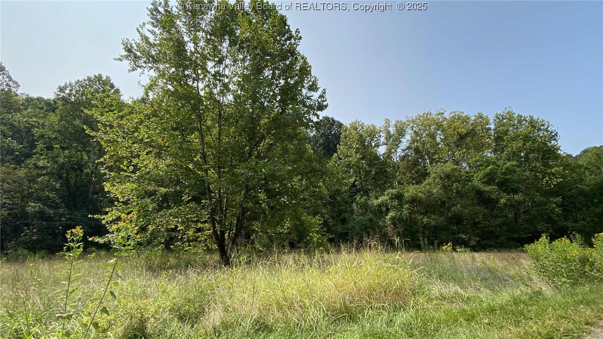 0 Parsoner Creek Road Griffithsville, WV 25521 - Photo 12 of 27 Gallery Image 12
