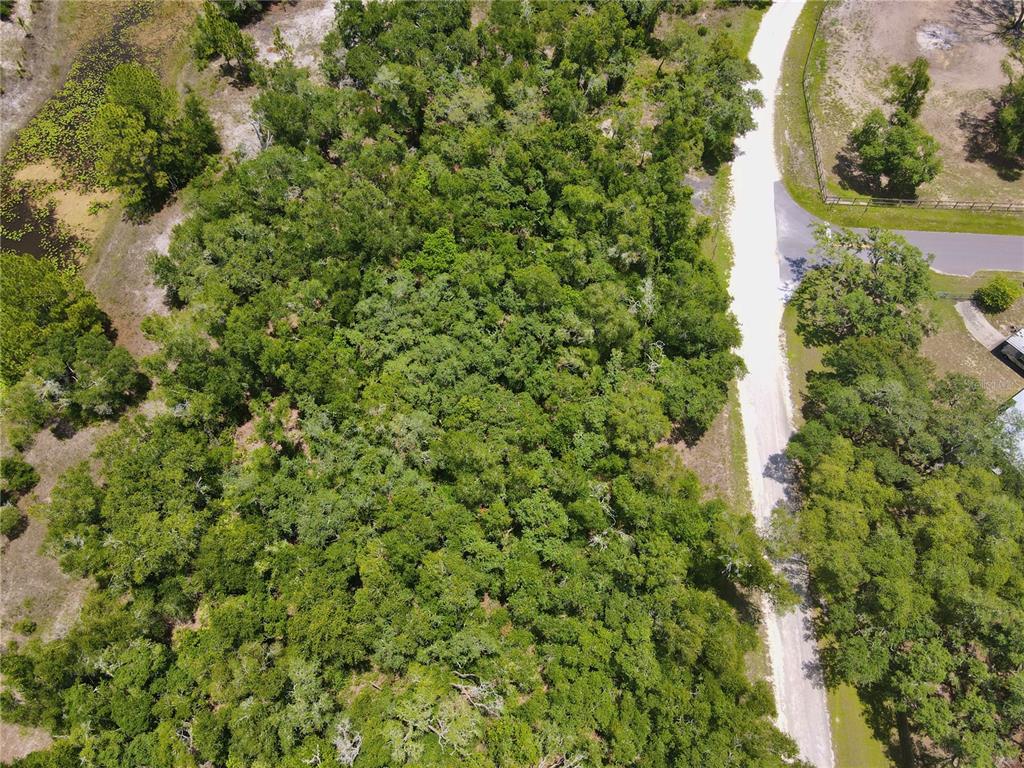 34237 Shaffer Drive Webster, FL 33597 - Photo 4 of 18