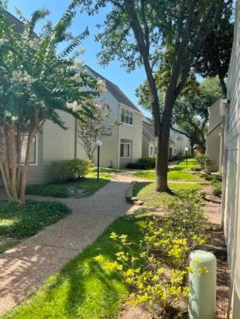 a view of a yard with plants and a large tree