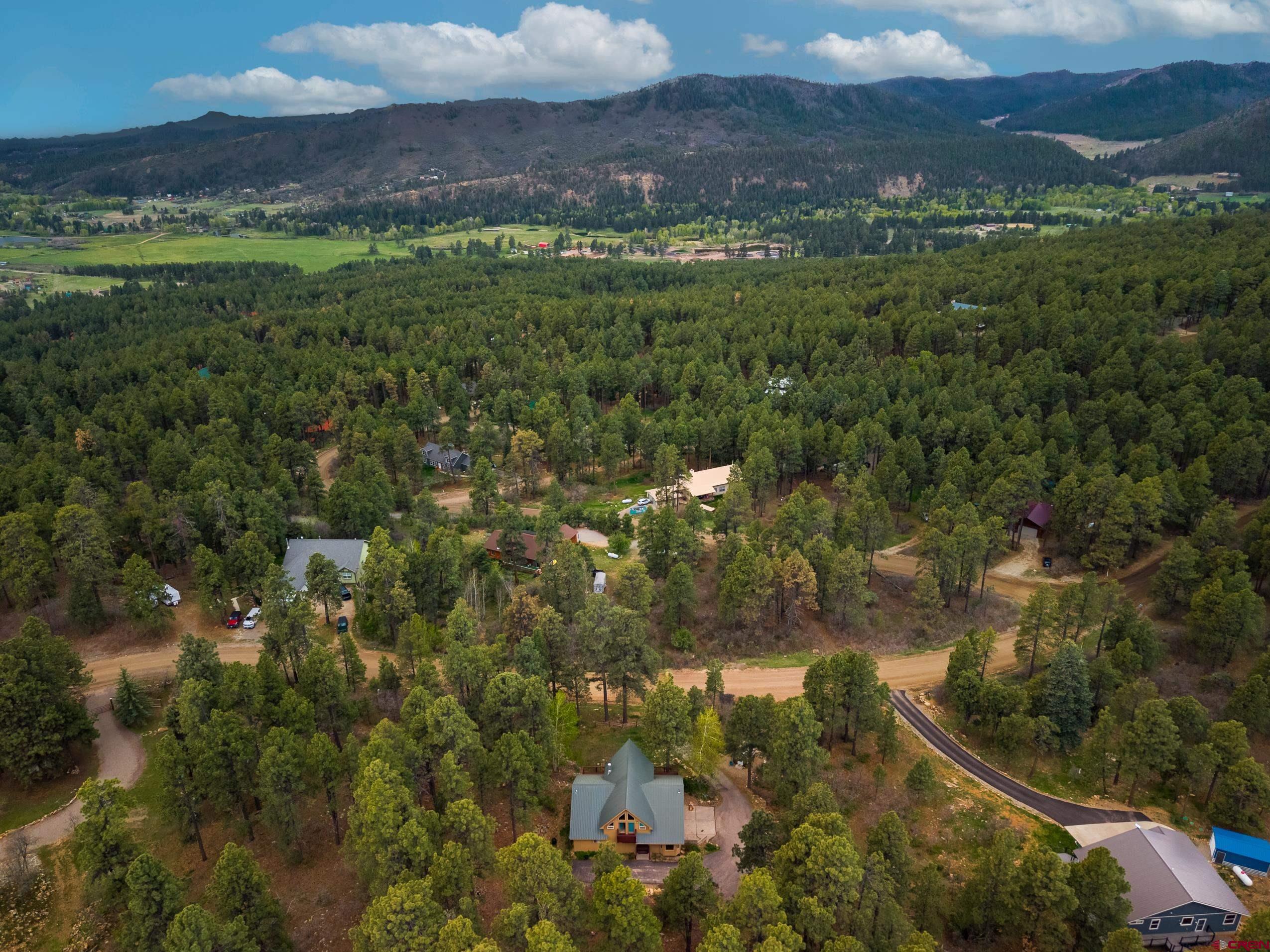 197 Buckhorn Road Bayfield, CO 81122 - Photo 3 of 34 a view of a city with lush green forest
