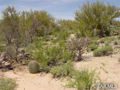 0 West Oasis Road Tucson, AZ 85742 - Photo 9 of 9