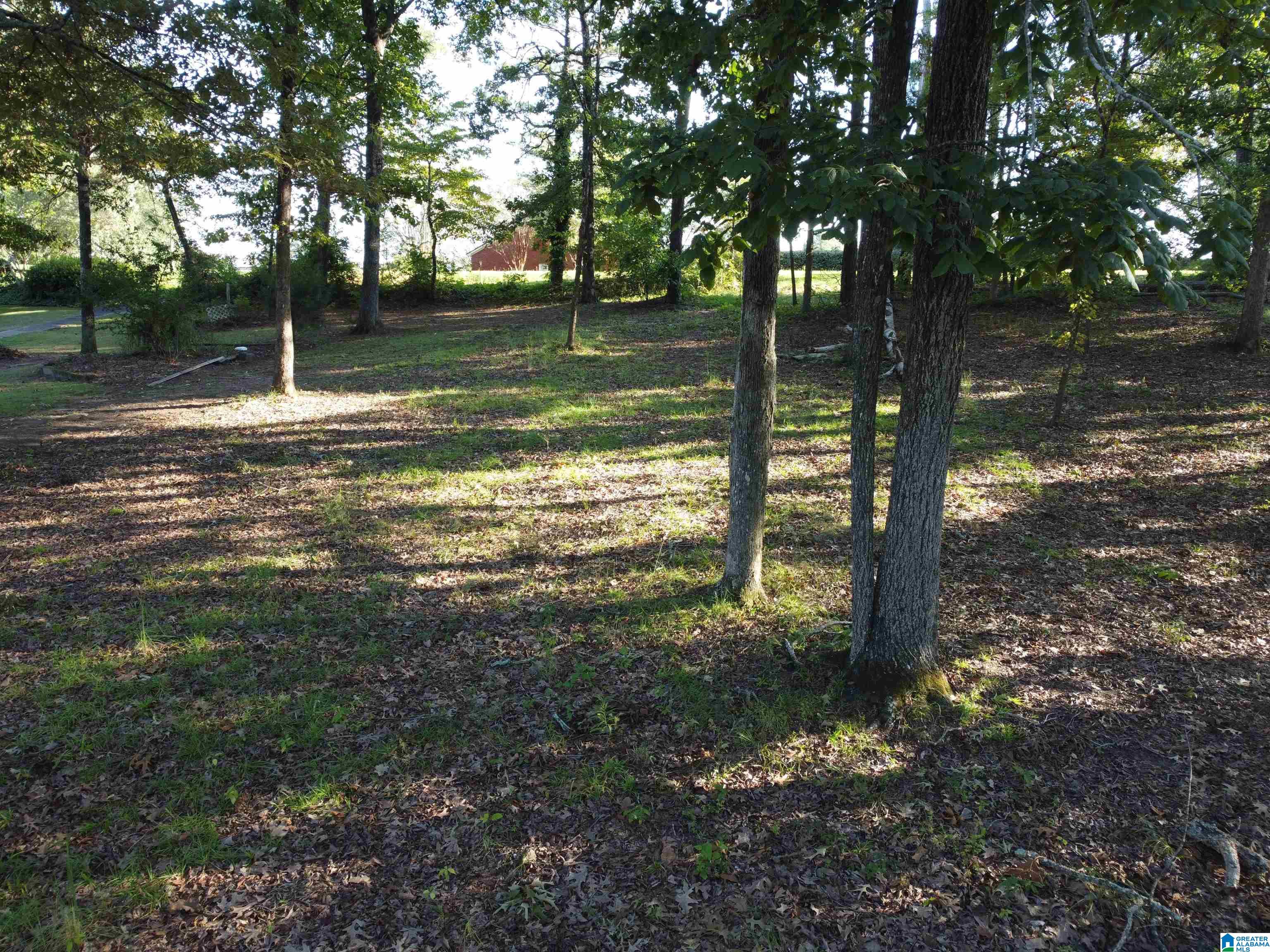 Lot 16 Riley Circle, Unit 16 Thorsby, AL 35171 - Photo 17 of 19