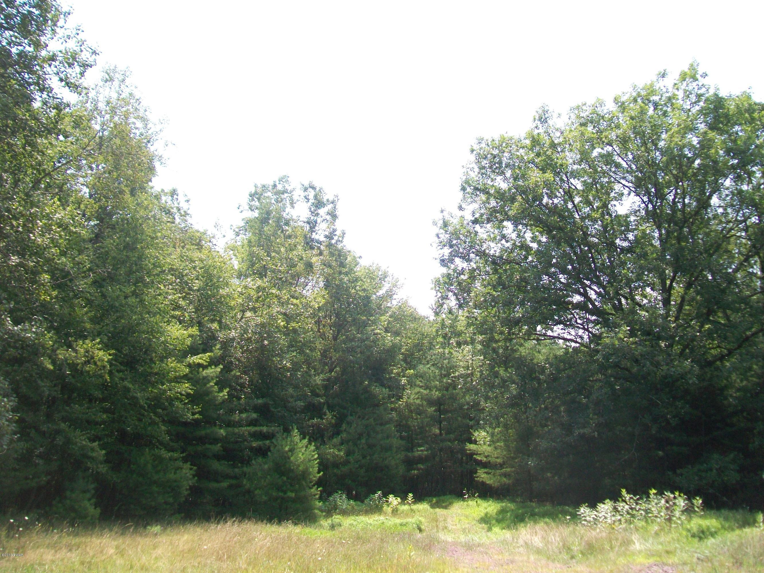 590 Creek Road Dingmans Ferry, PA 18328 - Photo 4 of 5