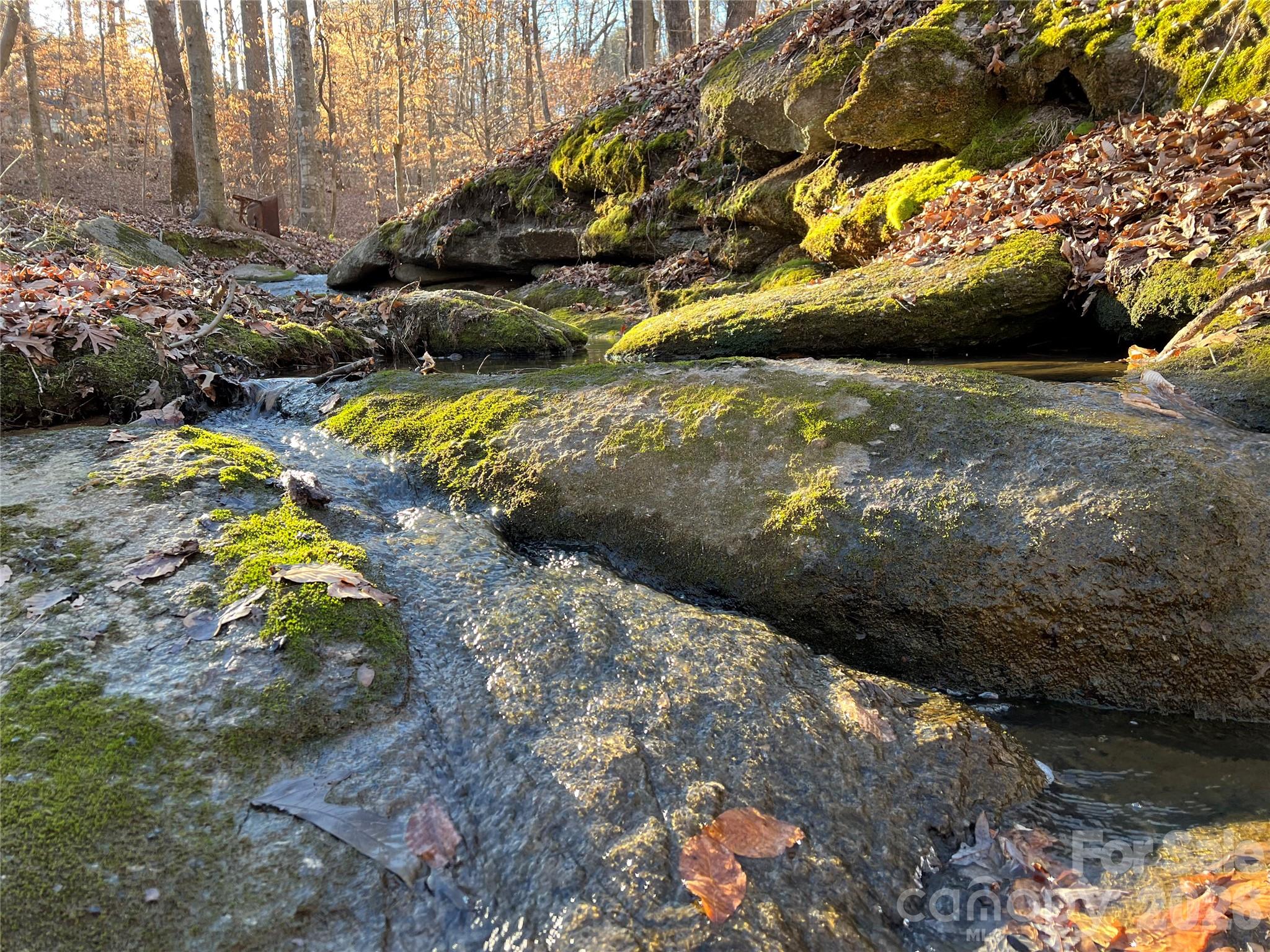 1560 Shinnville Road Cleveland, NC 27013 - Photo 38 of 38