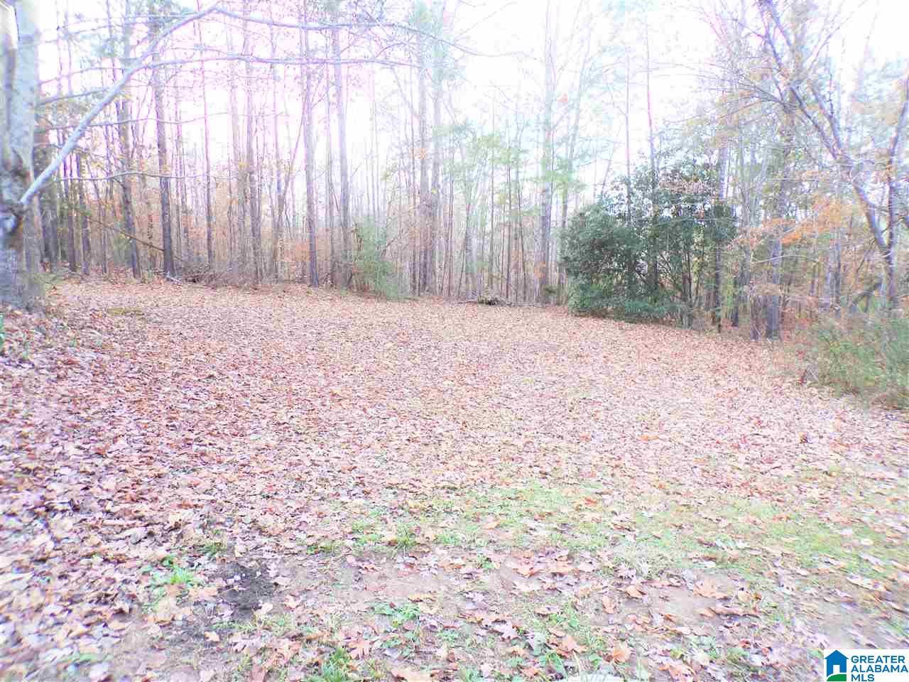 196 Pawnee Street Springville, AL 35146 - Photo 16 of 18