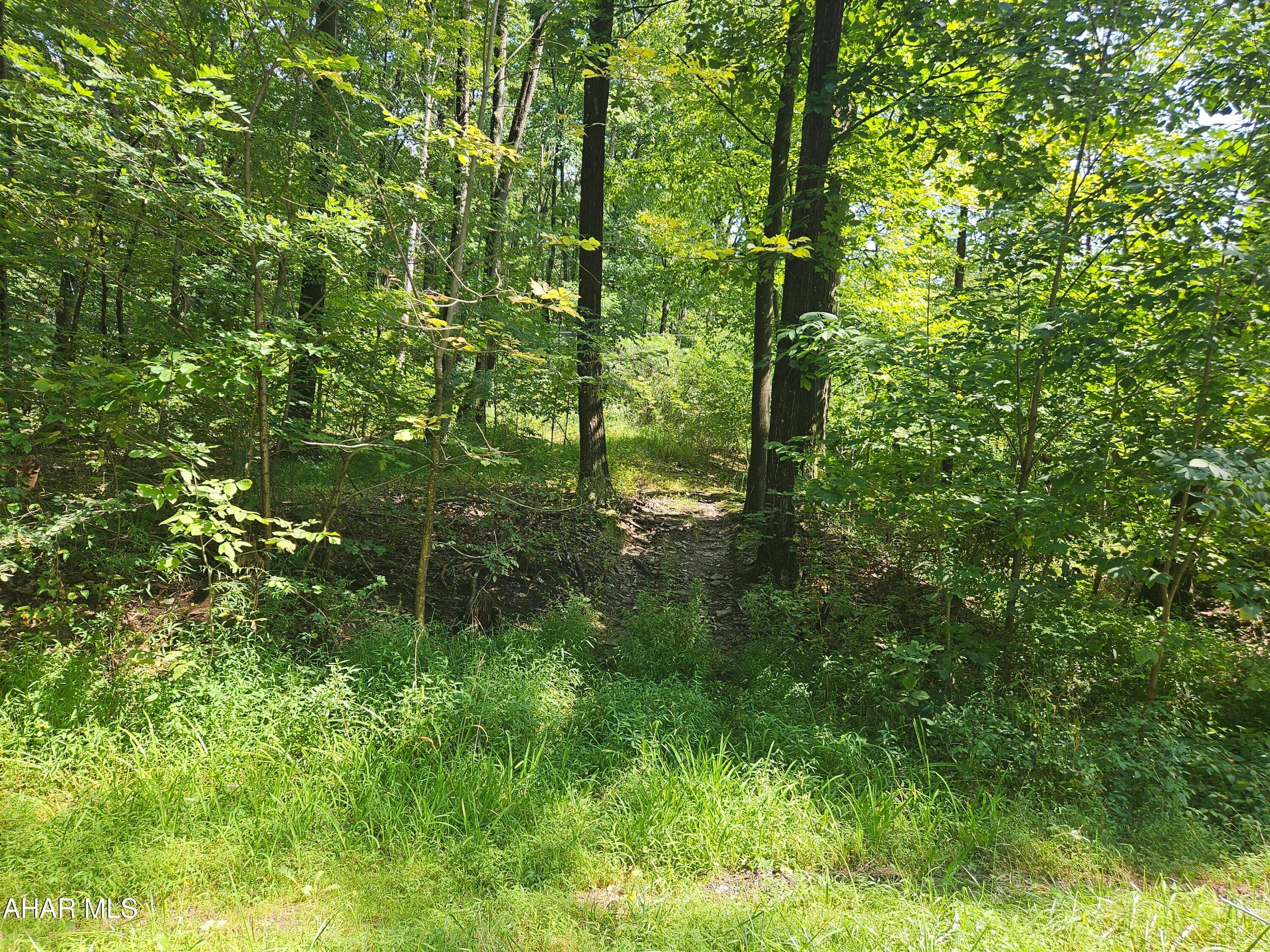 193 Clapper Road Altoona, PA 16601 - Photo 21 of 25 Gallery Image 21