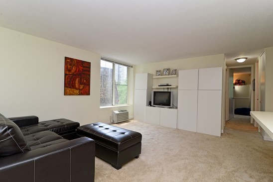 1339 North Dearborn Street, Unit 4H Chicago, IL 60610 - Photo 2 of 13 a living room with furniture window and a flat screen tv