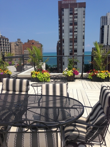 1339 North Dearborn Street, Unit 4H Chicago, IL 60610 - Photo 11 of 13 a view of building with potted plant