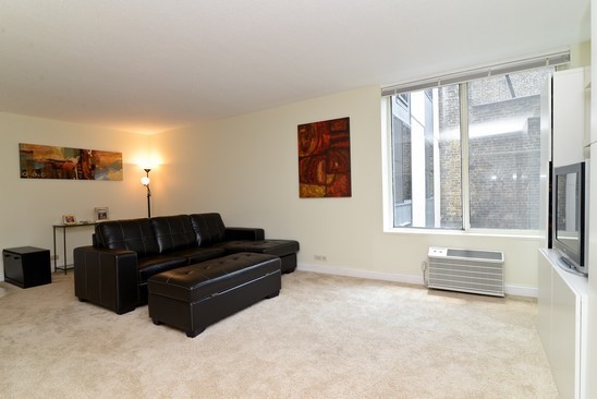 1339 North Dearborn Street, Unit 4H Chicago, IL 60610 - Photo 3 of 13 a living room with furniture and a large window