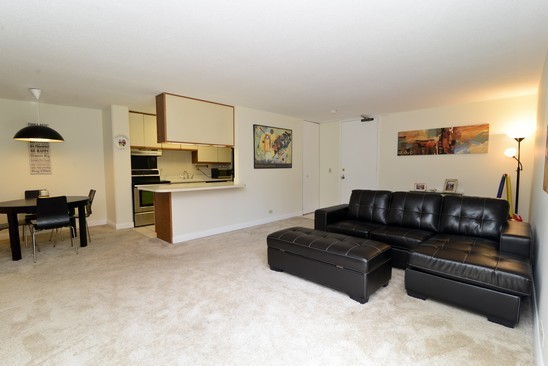 1339 North Dearborn Street, Unit 4H Chicago, IL 60610 - Photo 6 of 13 a living room with furniture and a flat screen tv