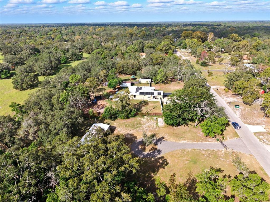15616 Larry Road Spring Hill, FL 34610 - Photo 40 of 42