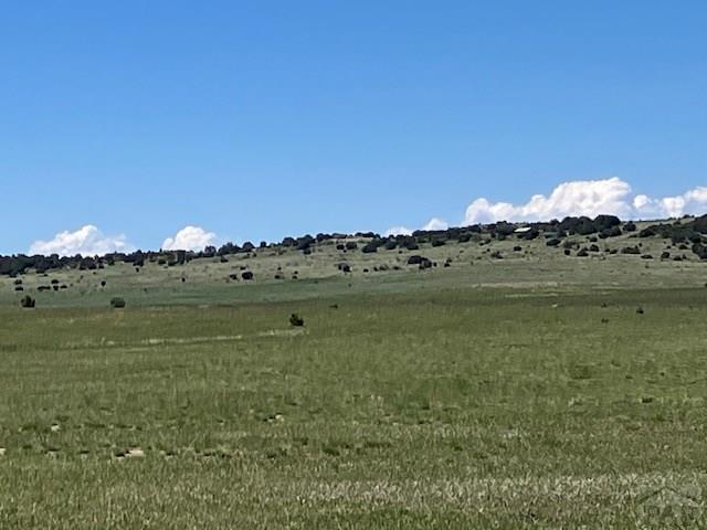 Tbd Cedarwood Road Rye, CO 81069 - Photo 2 of 3