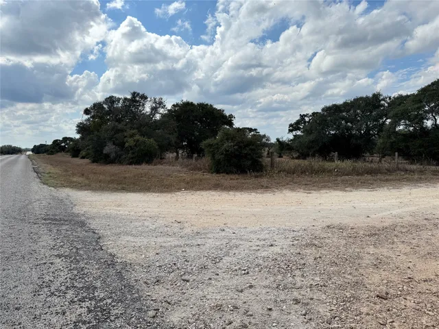 a view of a dry yard