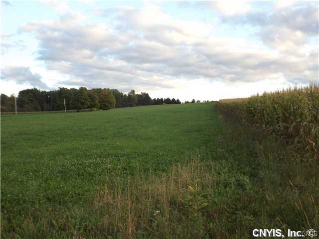 C County Line Road Auburn, NY 13021 - Photo 1 of 1 Exterior Front