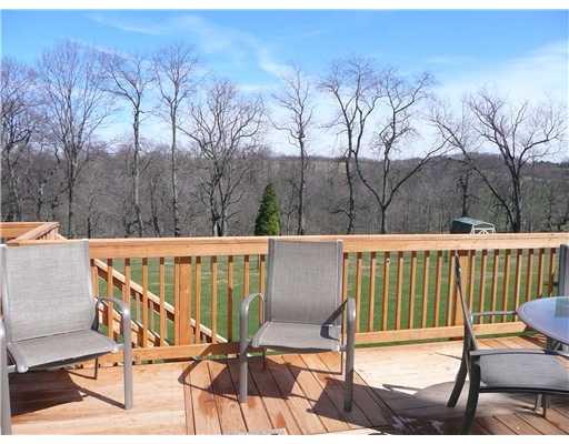 446 Zeigler Road Rochester, PA 15074 - Photo 13 of 15 View. VIEW FROM REAR DECK