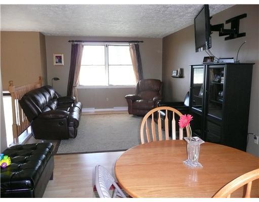 446 Zeigler Road Rochester, PA 15074 - Photo 4 of 15 Dining Room. LOOKING FROM DINING AREA INTO THE LIVING ROOM