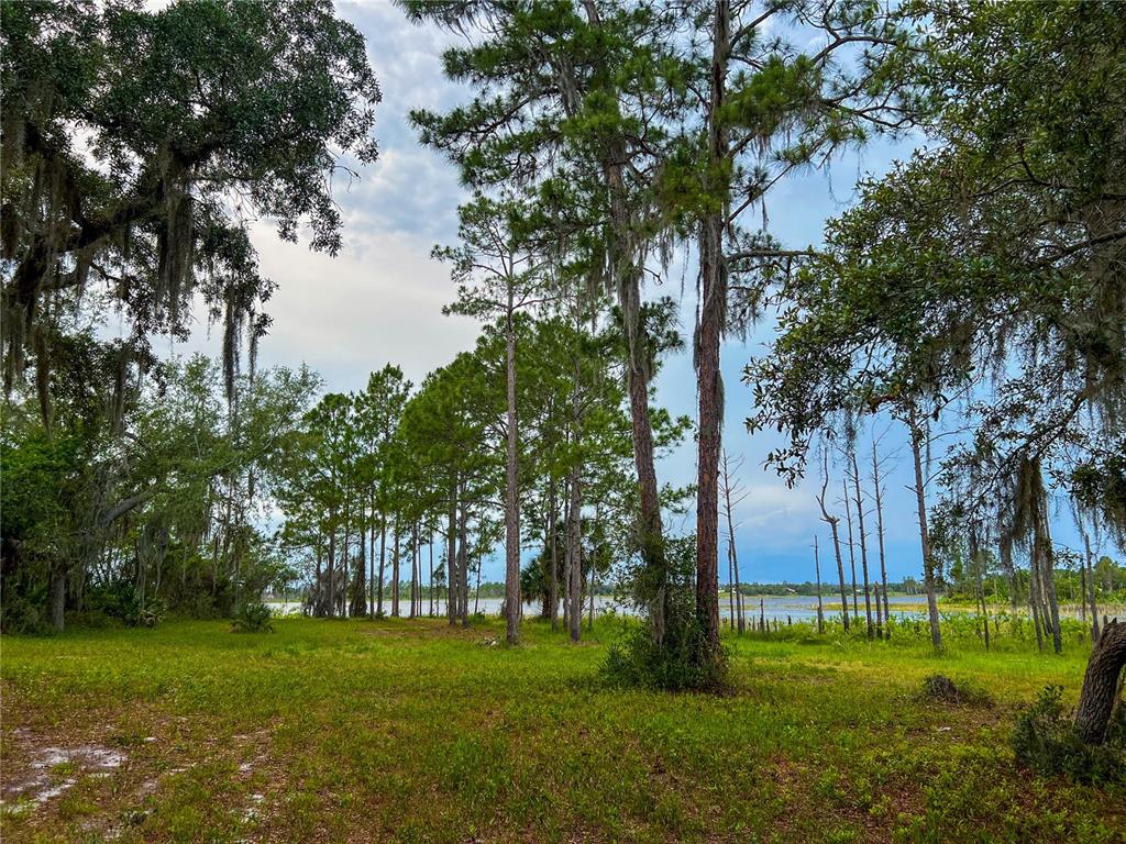 2332 Mitchell Island Road Deltona, FL 32738 - Photo 1 of 18