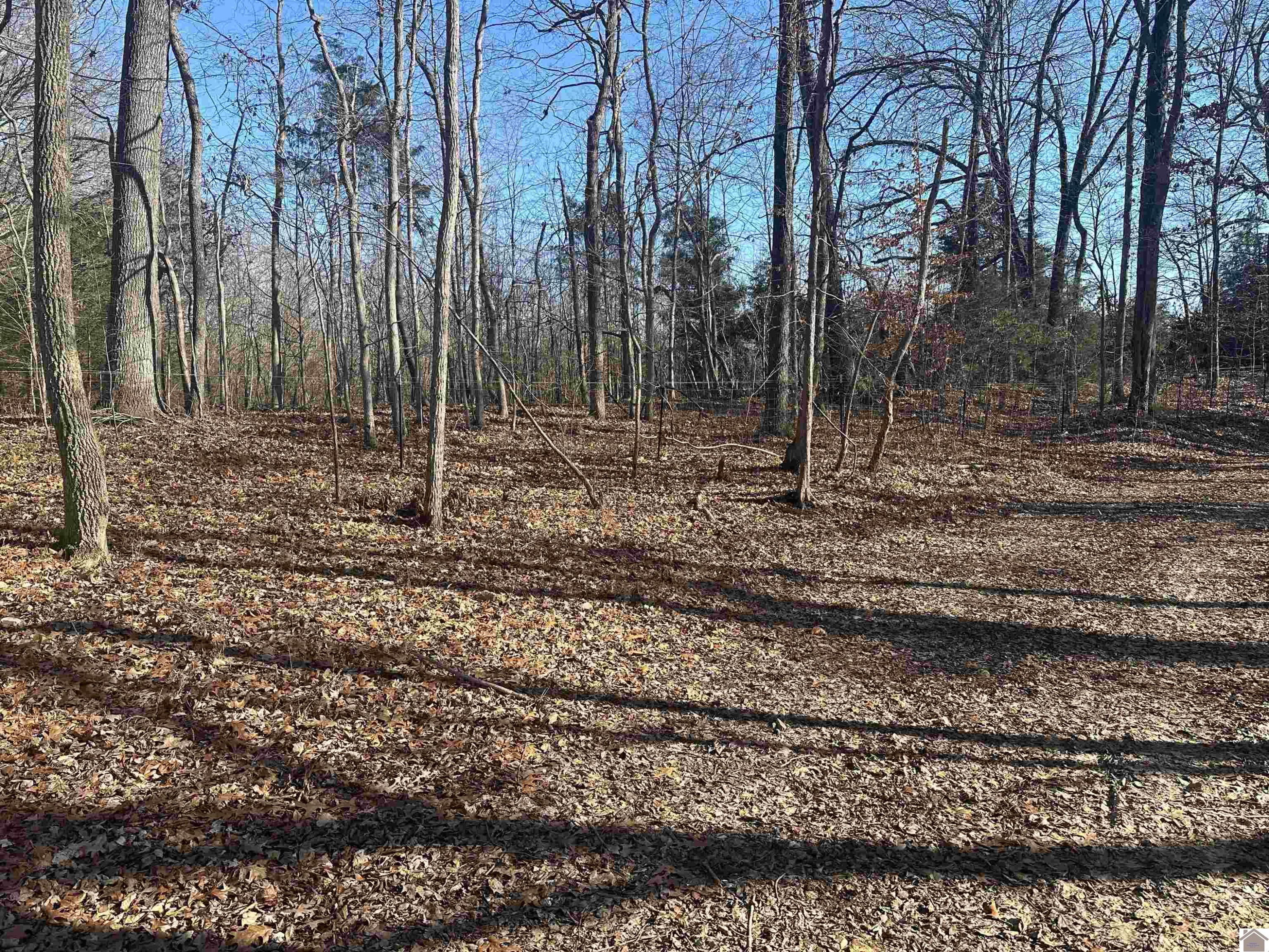 0 Caledonia Road Cadiz, KY 42211 - Photo 5 of 6 Photo 5