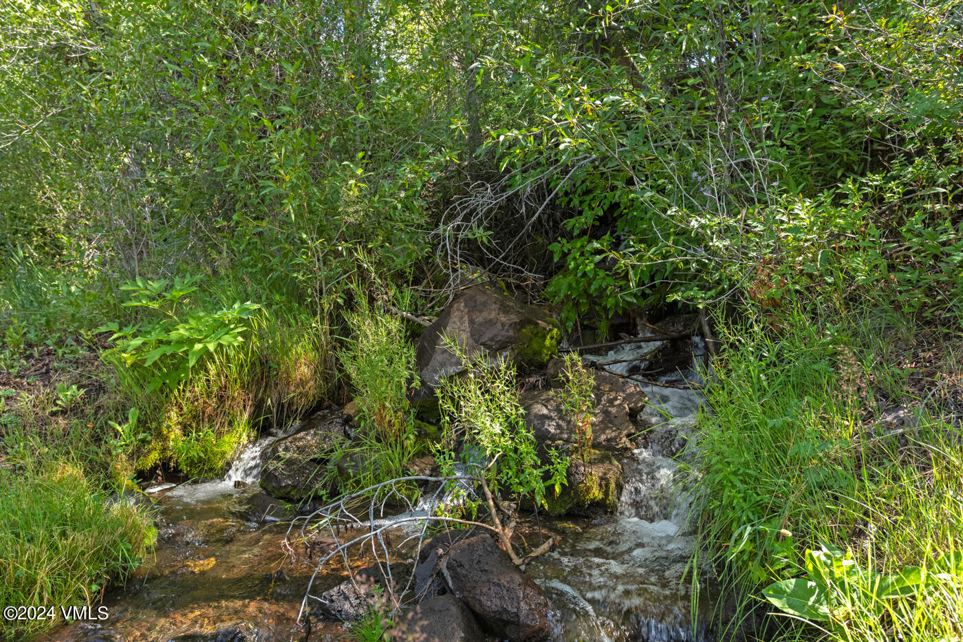 150 County Road Gypsum, CO 81637 - Photo 5 of 43 a backyard of a house with lots of green space