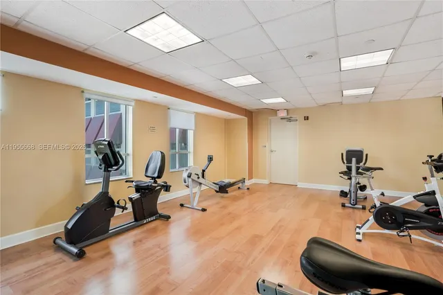 a view of a garden with pathway