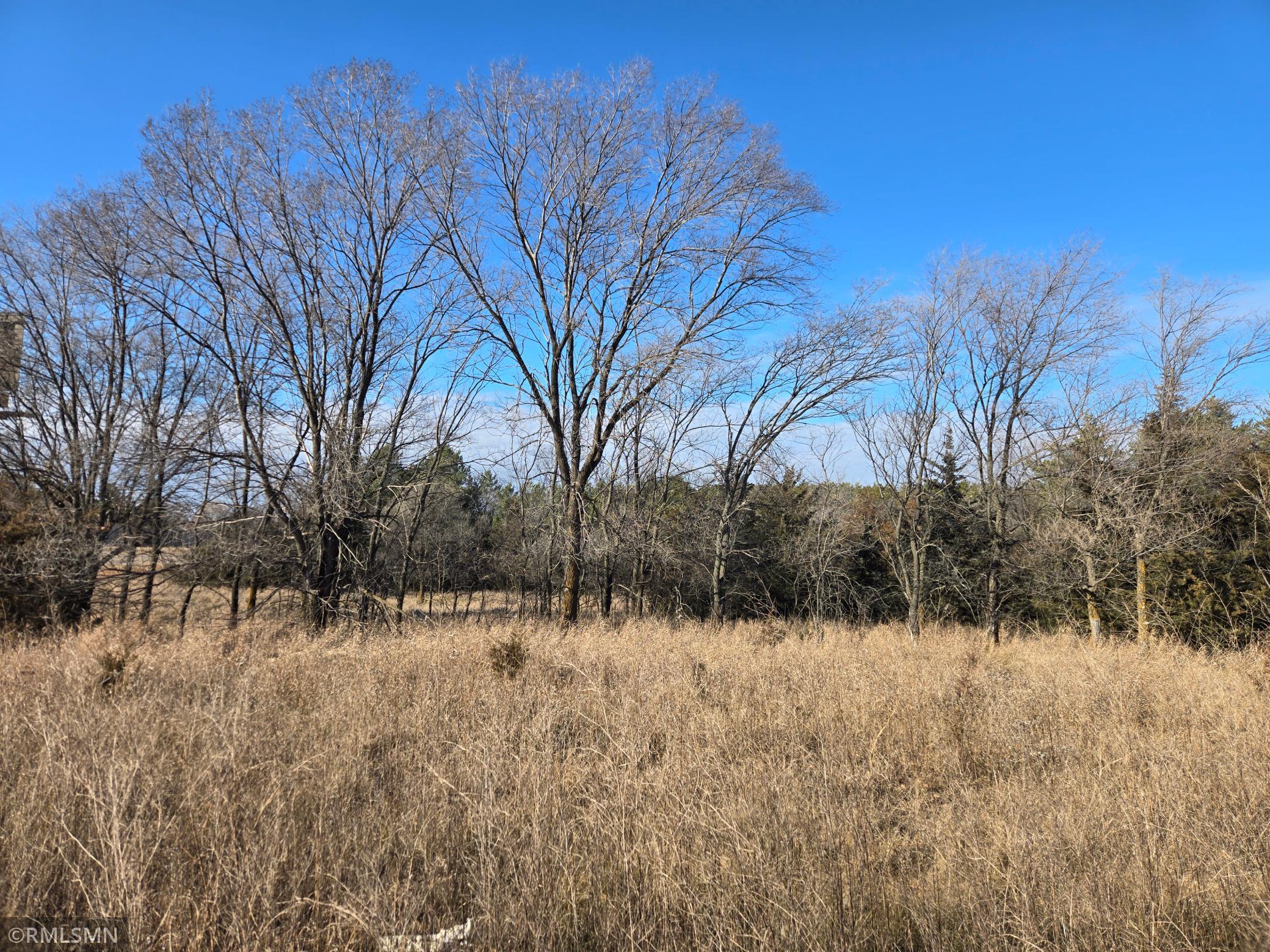 Tbd Pine Road Northwest Rice, MN 56367 - Photo 9 of 19