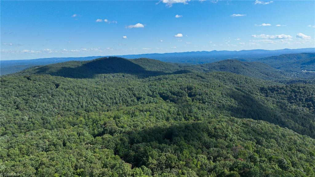125 Turkey Ridge Trail McGrady, NC 28649 - Photo 44 of 50