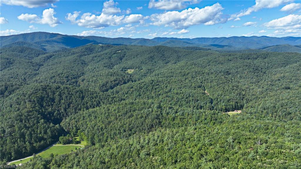 125 Turkey Ridge Trail McGrady, NC 28649 - Photo 45 of 50