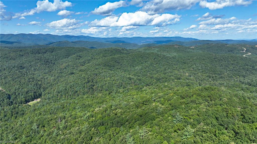 125 Turkey Ridge Trail McGrady, NC 28649 - Photo 46 of 50