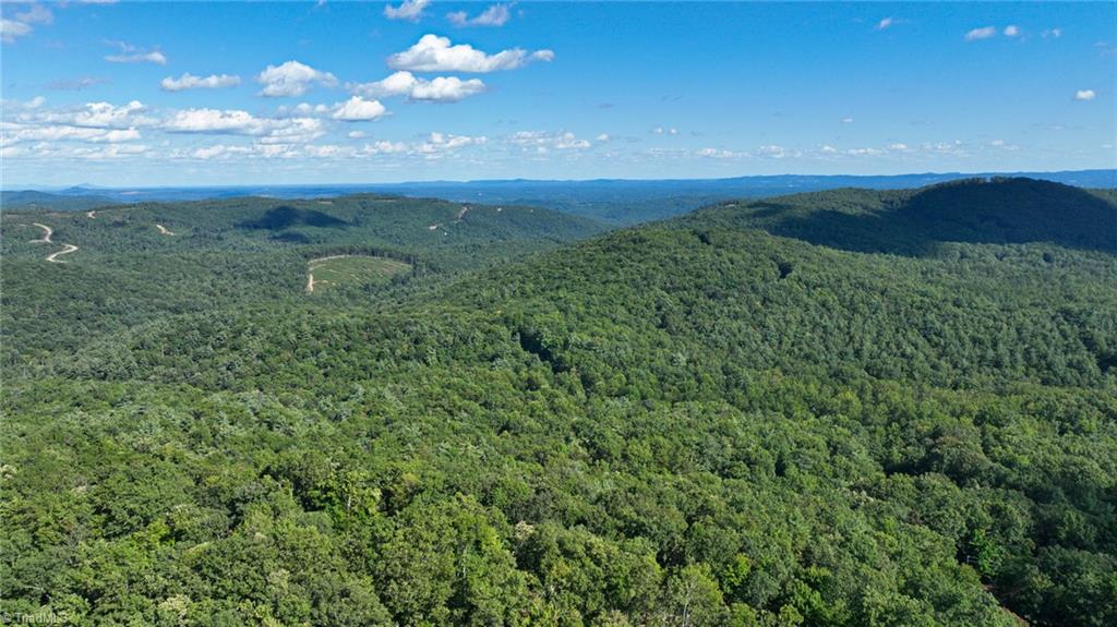 125 Turkey Ridge Trail McGrady, NC 28649 - Photo 47 of 50