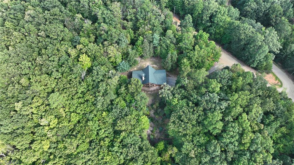 125 Turkey Ridge Trail McGrady, NC 28649 - Photo 49 of 50