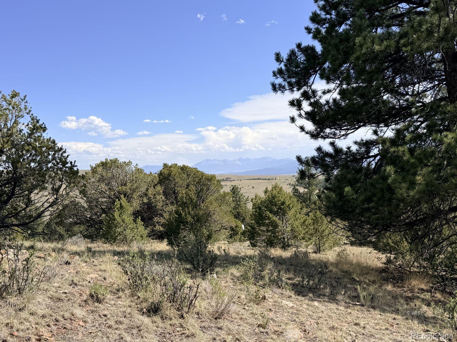 0 Schulze Ranch Road Westcliffe, CO 81252 - Photo 12 of 33